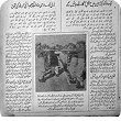 A Daily Voice